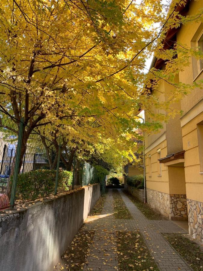 Langman Guesthouse Budapest Exterior photo